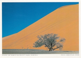 Namibia - Sand Dunes In Namib Natural Park - Namibie