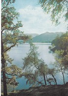 Postcard Ullswater Looking Towards Patterdale Westmorland My Ref  B23370 - Patterdale