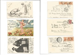 Poland. 1900-03. Russian Period. 3 Fkd Internaly Circulated Postcards, One Jewish, 2 Showing Girl With Pigs. Fine Trio H - Other & Unclassified