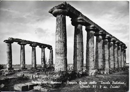 Metaponto - Temple Grec De "Zavole Palatine" - Matera