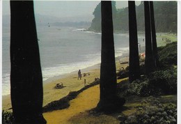 USA - Californie : Butterfly Beach In Montecito Santa Barbara - Santa Barbara