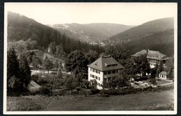 C2107 - Kipsdorf - Blick Vom Bärenfeld - Foto Glauer - Handabzug - Kipsdorf