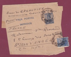 230119 - ARGENTINE - Bande Journaux Pour La France BUENOS AIRES 1917 - Covers & Documents