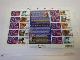 F3064 Tot 3068 Belgische Rashonden 2002 Plaatnummer 1 Zie Foto - Unused Stamps