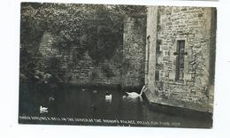 Postcard Somerset Bishop's Tower Wells Swans Ringing The Bell Rp  Chapman Dawlish 1919 - Wells