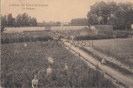 Carte Postale/Postkaart Colonie De CORTIL-NOIRMONT L'e Potager (Elpers - Brussel)(A99) - Chastre