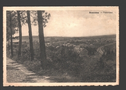 Beauraing - Panorama - éd. Veuve Lemye, Beauraing - Beauraing