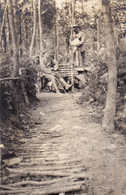 Photo Août 1915 Secteur SEROLLE (Leintrey) - Soldats Allemands En Forêt, Batterie 99 (A205, Ww1, Wk 1) - Other & Unclassified