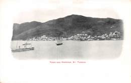 Virgin Islands / 13 - St Thomas - Town And Harbour - Autres & Non Classés