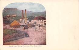 Virgin Islands / 23 - Typical Sugar Making Plantation Of The Wets Indies - Other & Unclassified