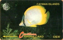 Cayman Islands - GPT, CAY-5B, 5CCIB, Yellow Fish, 30$, 9,905ex, 1992, Used - Islas Caimán