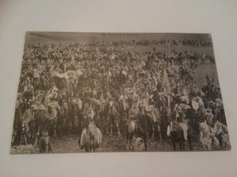 BM -1300 - Guerriers Sroure - Iran