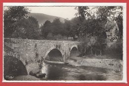48 - CHANAC --  Le Pont Vieux - Chanac