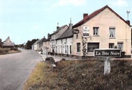 Berlaimont - La Tête Noire - Café-Bar-Restaurant "Au Taillis" - Pub Bières Piedboeuf, Vega - Berlaimont