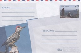 Cuba 2018 Postal Stationary - Brieven En Documenten