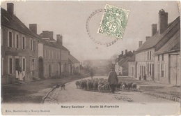 Dépt 89 - NEUVY-SAUTOUR - Route Saint-Florentin - (moutons) - Édit. Barthélemy - Neuvy-Sautour - Neuvy Sautour