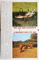Almanach Calendrier Du Facteur La Poste Ptt Année 1980 ISERE  Theme Chevaux - Grand Format : 1971-80