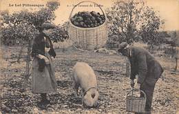 Le Lot Pittoresque   46     Les Gaveurs De Truffes. Cochon     (voir Scan) - Sonstige & Ohne Zuordnung