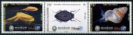 Nouvelle-Calédonie 2018 - Musée Histoire Naturelle, Insectes  - 3 Val Neufs // Mnh - Unused Stamps