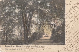 Carte Postale/Postkaart LE ROEULX Sous Le Bois Dans Le Parc (Philippe La Louvière) 1901 (A79) - Le Roeulx