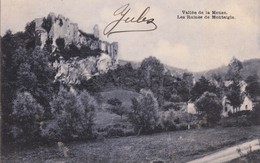 Postkaart/Carte Postale FALAËN Valée De La Meuse Ruines De Montaigle (A80) - Onhaye