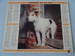 Almanach Ptt De 1975  Recto  Fox- Terrier  Verso  Au Puy- De - Sancy - Grand Format : 1971-80