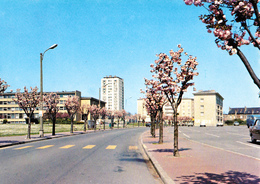 LOMME 59 ( AVENUE DE LA REPUBLIQUE ) ANNEES 70 - 80 - Lomme