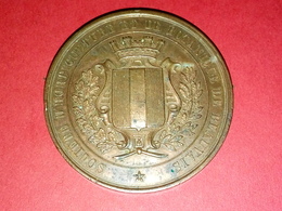 MÉDAILLE CUIVRE SOCIÉTÉ D'HORTICULTURE ET DE BOTANIQUE DE BEAUVAIS 45 Mm POIDS 45 Gr. - Professionali / Di Società