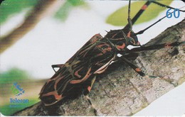 TARJETA DE BRASIL DE UN ESCARABAJO  (INSECTO-INSECT) - Andere & Zonder Classificatie