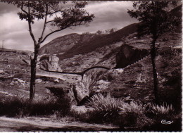 LES HAUTES ALPES - L'ARGENTIERE LA BESSEE - LE SIPHON - NEUVE. - L'Argentiere La Besse