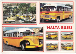 Delcampe - Malta Buses: MAGIRUS DEUTZ O3500, FORD 510 BUS Etc. - Busse & Reisebusse