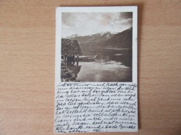 Suisse (Canton De Zoug) - Am Zugersee / Sur Le Lac De Zoug - Carte Circulée En 1931 - Zoug