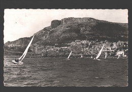 Monaco - La Condamine, Le Palais Princier Et La Tête De Chien - Voilier / Zeilboot - La Condamine