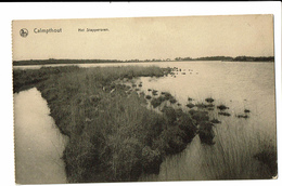 CPA - Carte Postale -Belgique-  Kalmthout - Het Stappersven VM46 - Kalmthout