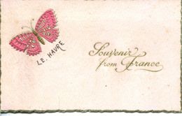N°69019 -carte Gaufrée Souvenir From France -papillon - Papillons