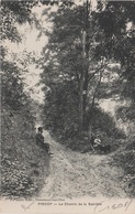 CPA - AK Piscop Chemin De La Sablière A Domont Ézanville Écouen Saint Brice Sous Forêt Sarcelles Paris 95 Val D' Oise - Pontcelles