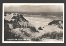 Schiermonnikoog - Doorkijk Naar Zee - Echte Foto - Uitgave J. Bazuin, De Toko, Schiermonnikoog - Schiermonnikoog