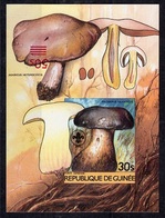 Guinea 1985, Mushrooms, Scout, BF IMPERFORATED Overp. Red INVERTED - Fehldrucke