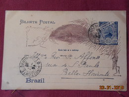 Entier Postal Du Bresil - Briefe U. Dokumente