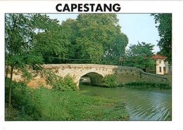 Capestang Le Pont De Pierre 1992    CPM Ou CPSM - Capestang