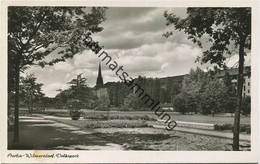 Berlin - Volkspark - Foto-AK 50er Jahre - Verlag Kunst Und Bild Berlin - Wilmersdorf