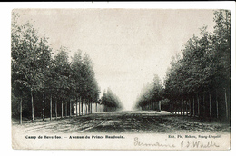 CPA - Carte Postale -Belgique-Beverloo- Av Du Prince Baudouin--1906 VM60 - Beringen