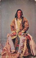 Thème. Indiens .Lot De 13 Cartes. Sioux Et Autres      (voir Scan) - Amérique