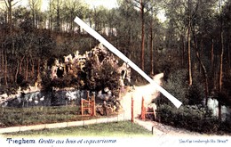 TIEGHEM - Grotte Au Bois Et Aquariums - Carte Colorée Et Circulée En 1902 - Anzegem