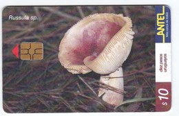 Télécarte TC 156 A Champignon Uruguay, Russule Spissa Champignons Mushroom Setas Pilze - Andere & Zonder Classificatie