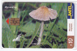Télécarte TC 158 A Dans Son Blister, Champignon Uruguay, Mycene Champignons Mushroom Setas Pilze - Autres & Non Classés