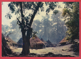 CONGO - VILLAGE - CASES - * Animation * 2 SCANS *** - Autres & Non Classés