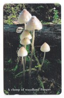 Télécarte De Jersey, Champignon Mushroom Coprin Champignons Setas Pilze - Altri