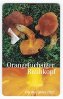 Télécarte De Jersey, Champignon  Mushrooom Cortinarius Orellanus Champignons Setas Pilze - Autres & Non Classés