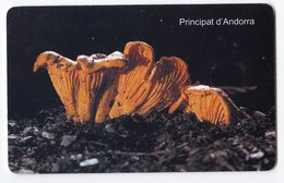 Télécarte De Andorre, Champignon  Mushroom Girolle Champignons Setas Pilze - Andere & Zonder Classificatie